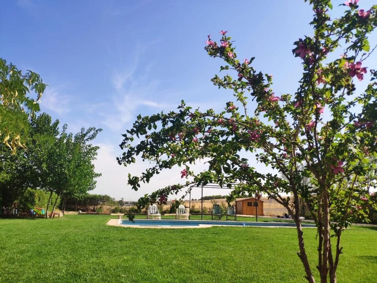 Finca Paredes Valdetorres de Jarama Exterior photo